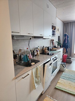 Alivuokrataan Toas Hippoksen tilava yksiö