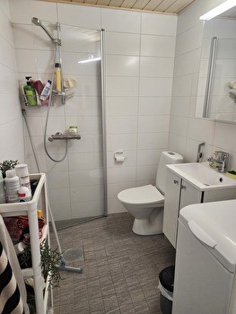 Alivuokrataan Toas Hippoksen tilava yksiö