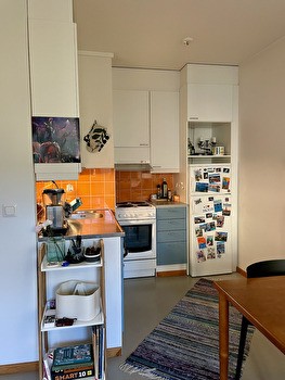 Alivuokrataan Toas Wäinölä 1 yksiö