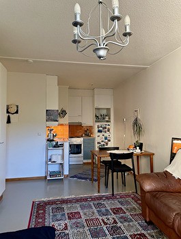 Alivuokrataan Toas Wäinölä 1 yksiö