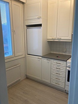 Siisti keskustayksiö