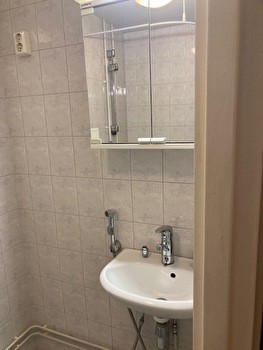 Siisti keskustayksiö