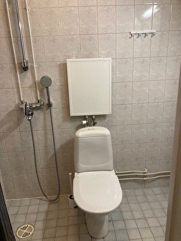 Siisti keskustayksiö