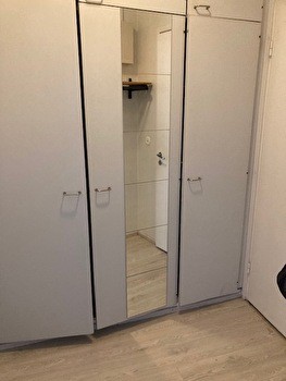 Siisti keskustayksiö