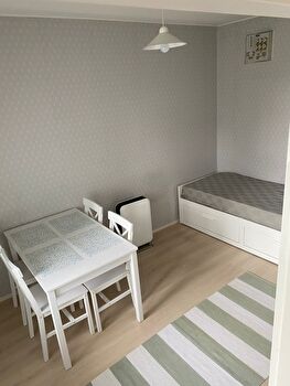 Puutaloyksiö Pispalanharjulla 18 m2