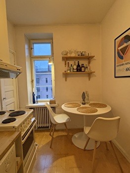 Tilava yksiö Tammelassa