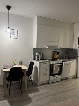 Kalustettu yksiö kesäksi