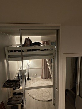 A studio with furniture for the summer of 2026 