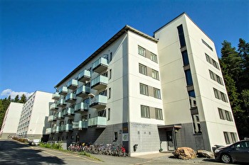 KALUSTETTU YKSIÖ KESÄKSI KAUPPI-RUOTULA (35 m²) ☀️