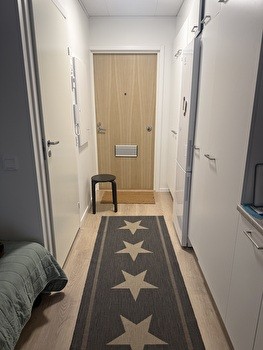 Kalustettu yksiö kesäksi TOAS Hippos