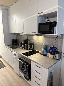 Kalustettu yksiö kesäksi TOAS Hippos