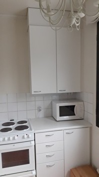 Rauhallinen asunto metsämaisemalla