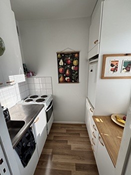 Kalustettu yksiö Kalevassa