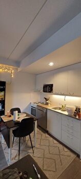 Kalustettu yksiö Kalevasta ajalle 1.6. - 31.8.