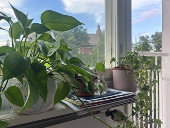 Yksiö Tampereen keskusasta vapautuu 1.6