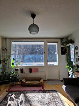 2h + kk + vh + kph + p,  43m2,  Ruotula, Tampere