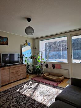 2h + kk + vh + kph + p,  43m2,  Ruotula, Tampere