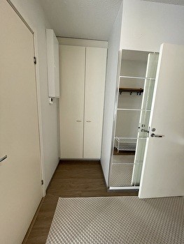 Yksiö 560 €/kk kesäksi Hervannasta