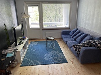 Kalustettu soluasunto syksyn lukukaudeksi 