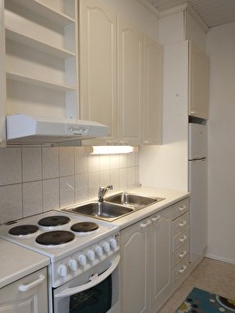 1 h + k, 30 neliötä, Nekala, 495€/kk