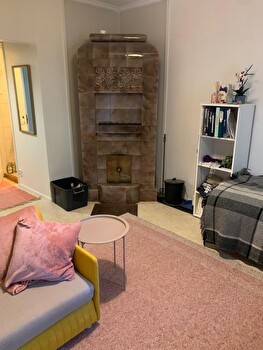 1 h + k, 30 neliötä, Nekala, 495€/kk