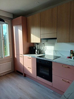 Haussa koiraystävällinen kämppis