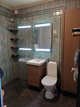 Haussa koiraystävällinen kämppis