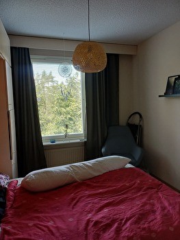 Haussa koiraystävällinen kämppis