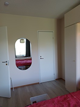 Haussa koiraystävällinen kämppis
