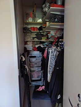 Haussa koiraystävällinen kämppis