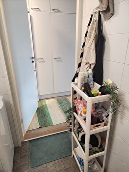 Alivuokrataan Toas Hippoksen tilava yksiö
