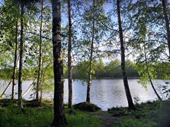 Kodikas 30,5 neliön kalustettu yksiö erillisellä keittiöllä
