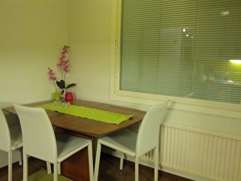 Renting a spacious, good conditioned and furnished apartment at Armonkallio
