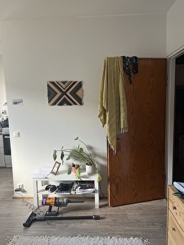 Kalustettu yksiö kesäksi Kalevasta
