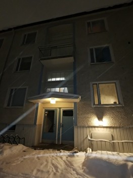 Yksiö Kissanmaalla