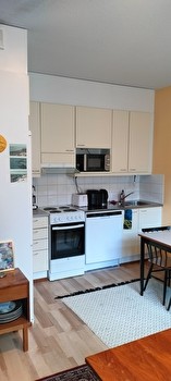 Kalustettu yksiö syyslukukaudeksi