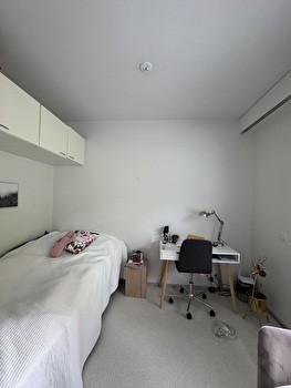 Kalustettu luhtitalon yksiö
