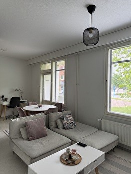 Kalustettu luhtitalon yksiö