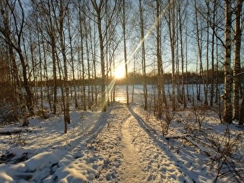 Kodikas 30,5 neliön kalustettu yksiö erillisellä keittiöllä