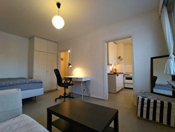 Kodikas 30,5 neliön kalustettu yksiö erillisellä keittiöllä