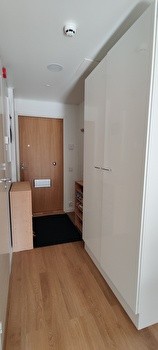 Lumipuu, perheasunto, alivuokralle 1.8.-31.12.