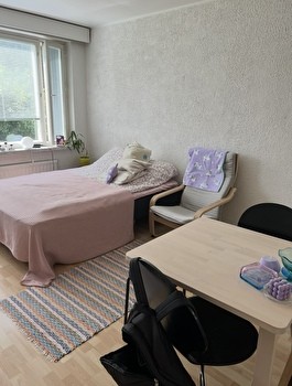 Furnished studio apartment for the fall semester