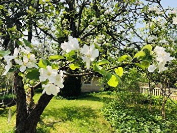 Viihtyisä huone omakotitalon yläkerrassa