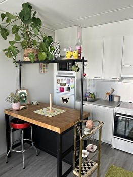 Kaksio kesäksi (Lapinniemi) 
