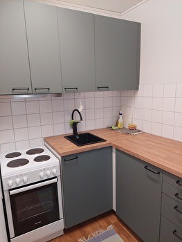 Bright apartment in city center