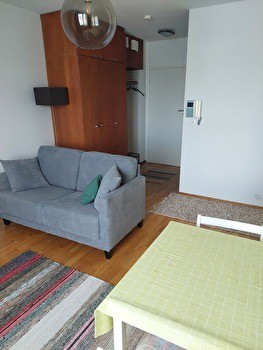 Bright apartment in city center