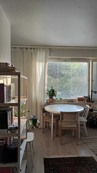 Ihana yksiö Amurissa