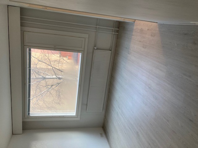 Siisti keskustayksiö