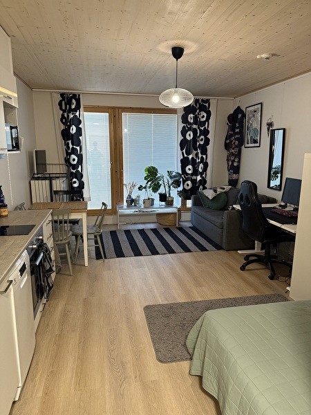 Kalustettu yksiö kesäksi TOAS Hippos