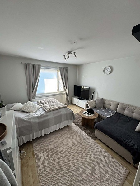 Yksiö lähellä yliopiston pääkampusta